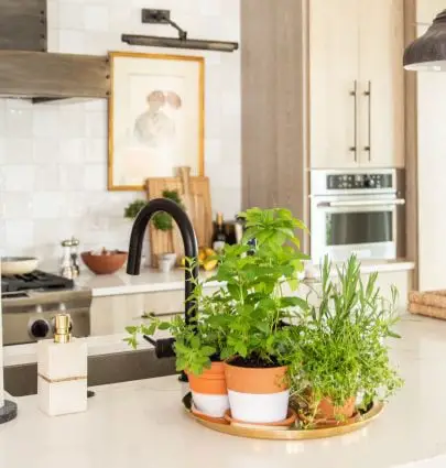 Indoor countertop herb garden in the kitchen with mismatched pots and Plasti Dip Craft coating DIY project on Thou Swell #herbgarden #indoorplants #indoorgarden #kitchengarden #plastidip